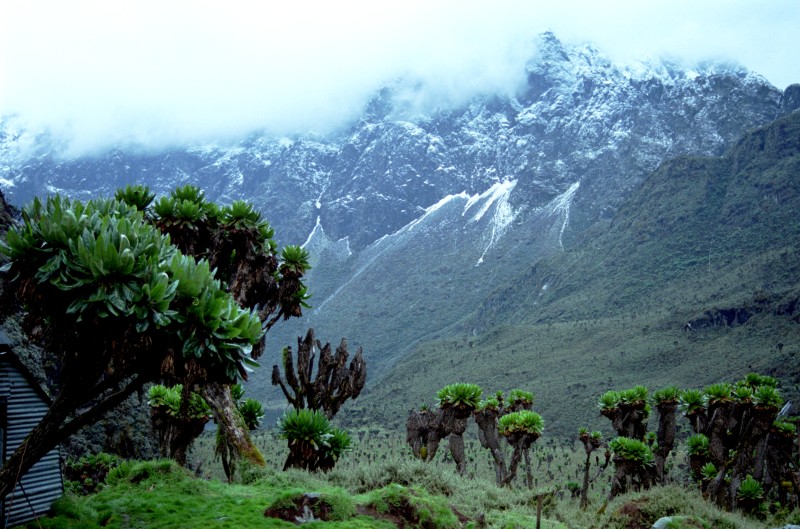 The Ruwenzori Mountains