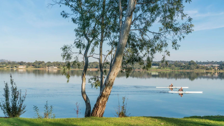 Lake Albert